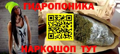 бошки Ставрополь