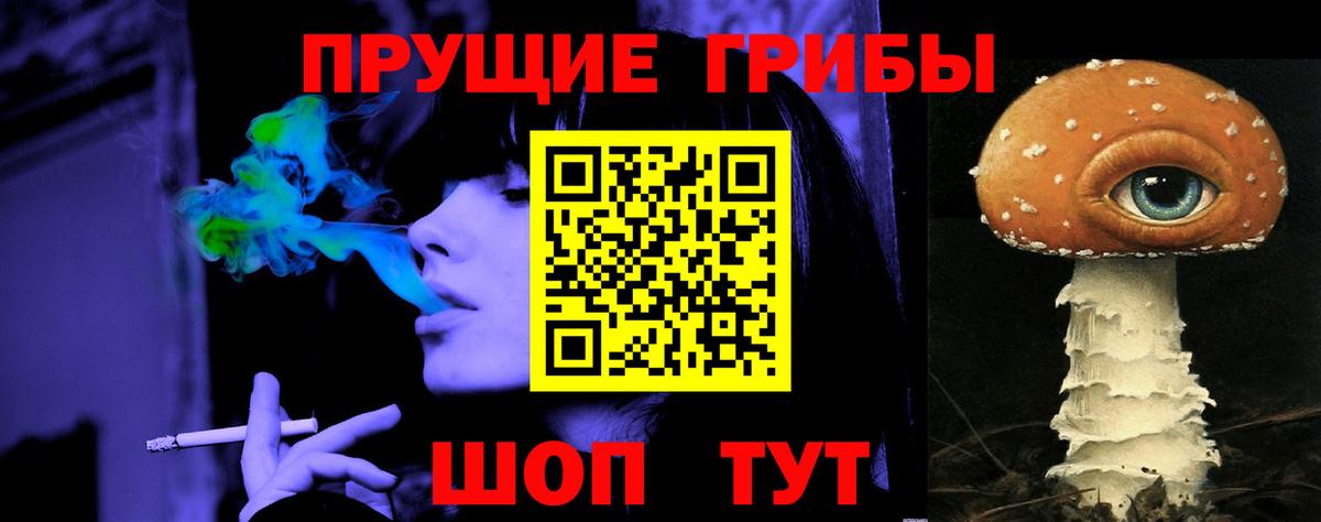 Алейск  Галлюциногенные грибы прущие грибы  Вход с VPN  Галлюциногенные грибы Cubensis 